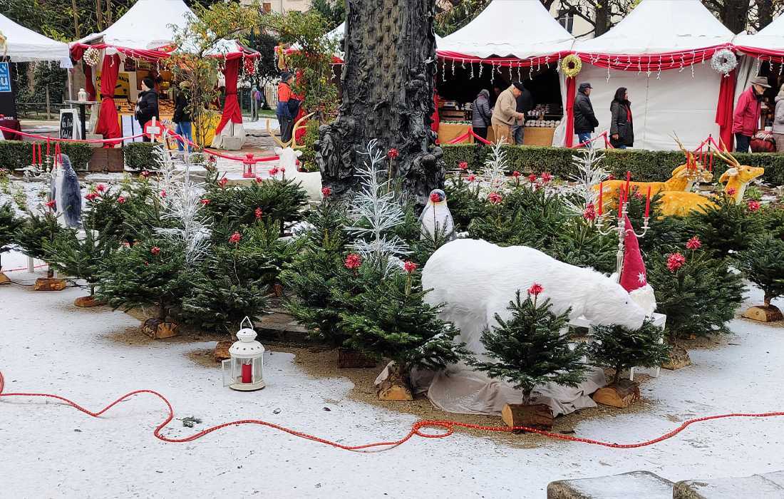 Arya France sera présent au marché de Noël à Paris Notre Dame